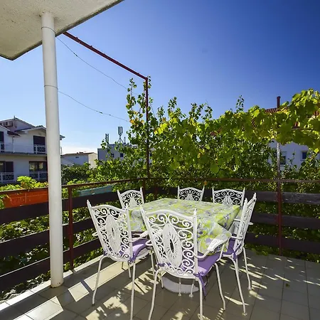 Marijana * 沃迪切